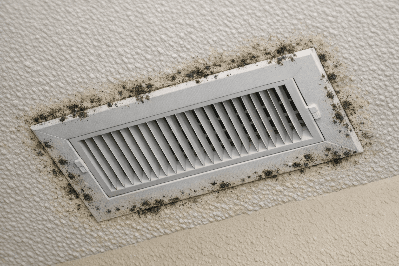 Signs Your Air Ducts Have Mold (Florida Homes)